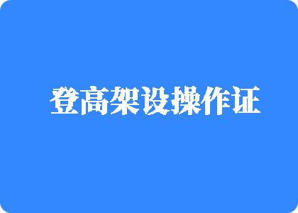 我想看操大逼操逼登高架设操作证